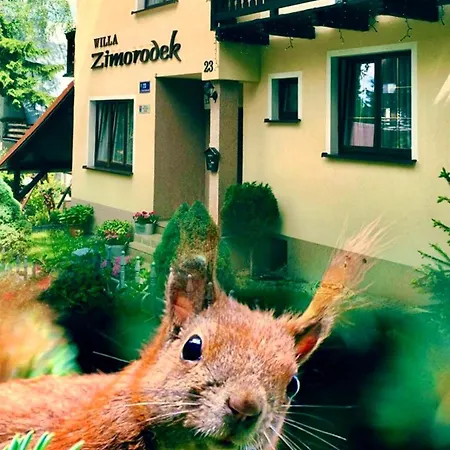 Zimorodek Poczuj Z Nami Magie Karpacza Wifi 5G Nie Przyjmujemy Grup Karpacz