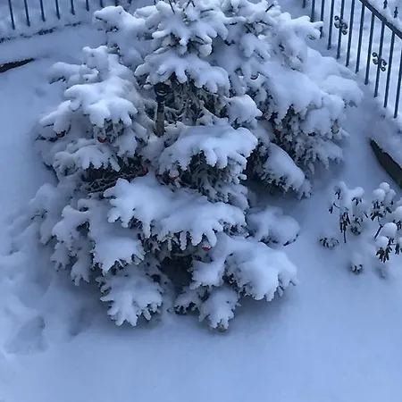 Pensjonat Zimorodek Poczuj Magię Karpacza Parking Wifi 5g 3*