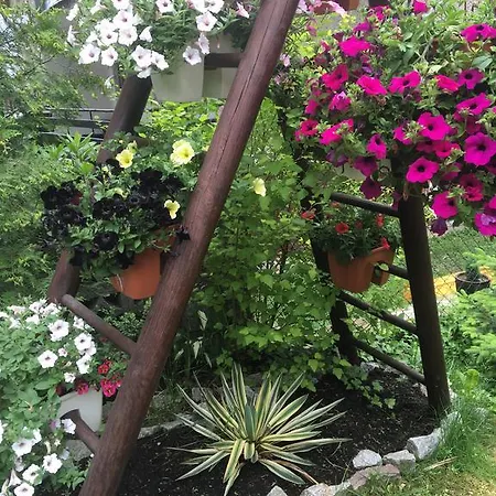 Pensjonat Zimorodek Poczuj Magię Karpacza Parking Wifi 5g