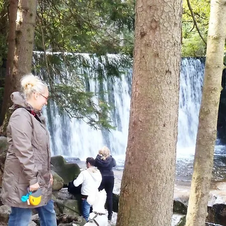 Zimorodek Poczuj Z Nami Magie Karpacza