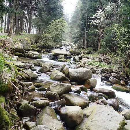 Zimorodek Poczuj Magię Karpacza Parking Wifi 5g 3*
