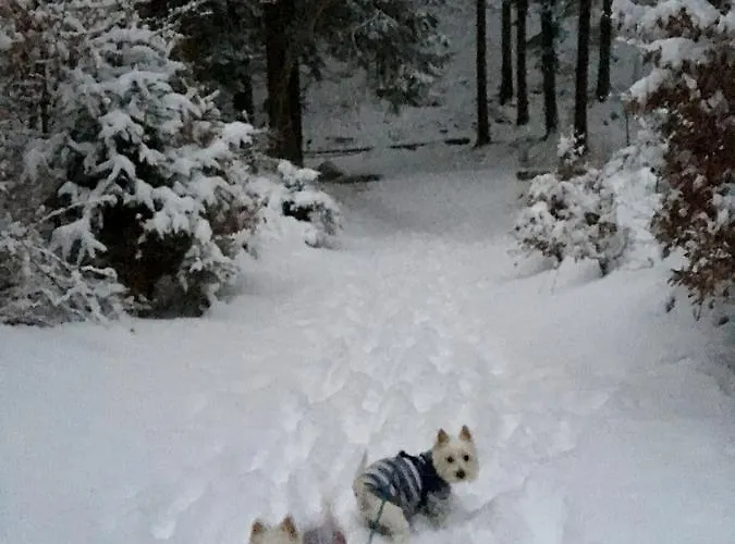 Pensionat Zimorodek Poczuj Magie Karpacza Parking I Wifi Gratis
