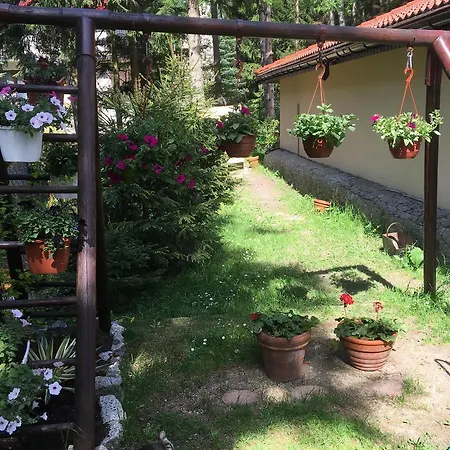 Guest house Zimorodek Poczuj Z Nami Magie Karpacza Spacerujac Do Centrum Widok Na Sniezke