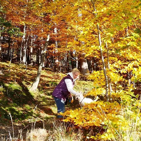 Gasthof Zimorodek Poczuj Magie Karpacza Parking I Wifi Gratis Karpacz