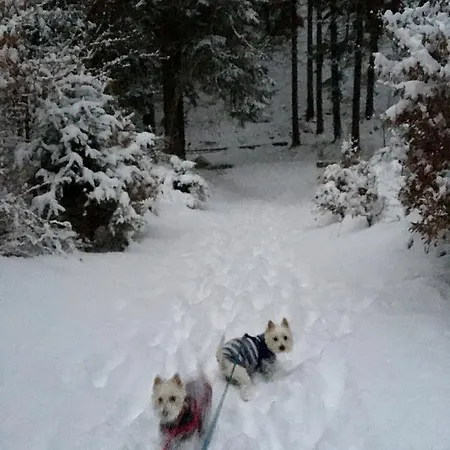 Gasthof Zimorodek Poczuj Magie Karpacza Parking I Wifi Gratis