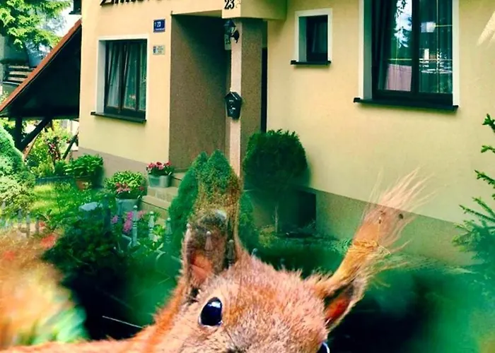 Zimorodek W Sercu Karkonoszy Parking I Wifi Gratis Karpacz