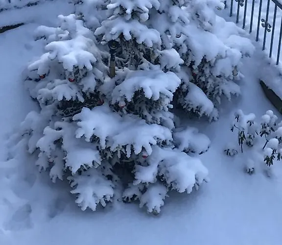 Gasthuis Zimorodek W Sercu Karkonoszy Parking I Wifi Gratis 3*