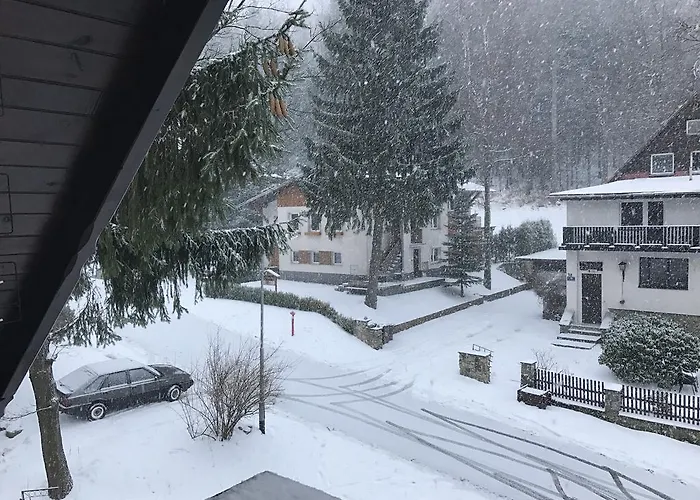 Willa Zimorodek Affittacamere