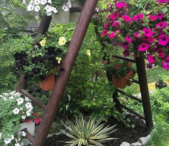 Affittacamere Willa Zimorodek