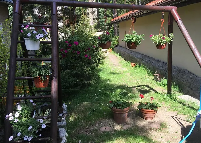 Pensjonat Zimorodek w sercu Karkonoszy Parking i WiFi GRATIS