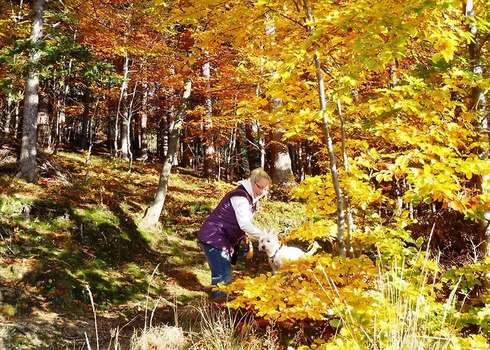 Guest house Zimorodek W Sercu Karkonoszy Parking I Wifi Gratis Karpacz