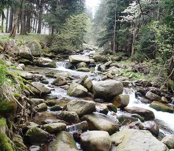 Zimorodek W Sercu Karkonoszy Parking I Wifi Gratis 3*